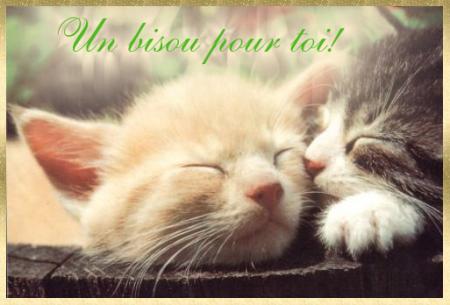 Un bisou pour toi...